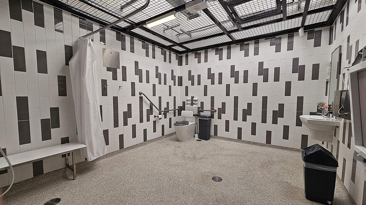 On the left, there is a white shower curtain hanging from a rail, with a showerhead mounted on the wall above. A bench is positioned against the wall beneath the curtain. To the right, a toilet is visible next to a small black bin and a handrail. A sink with a mirror is mounted on the wall, accompanied by a small flower arrangement. The floor is made of smooth, light-coloured tiles, while the ceiling features a grid design with light fixtures.