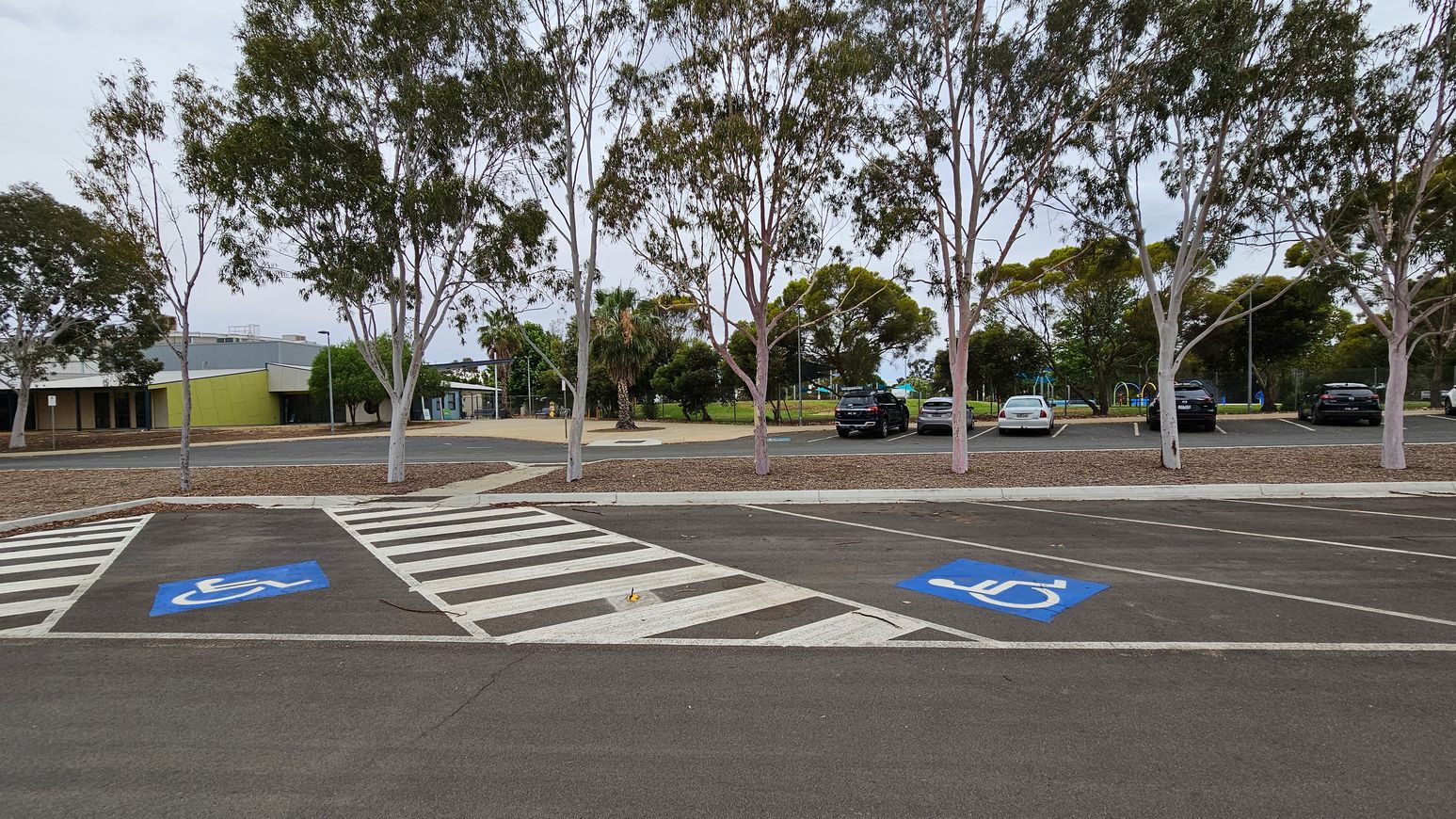 A parking area with marked disabled spaces in the foreground, featuring blue wheelchair symbols. A zebra crossing leads towards a row of trees in the middle ground. Behind the trees, there are several parked cars and a playground with green equipment. On the left, a building with a green and brown facade is visible. The ground is paved, and there are patches of mulch around the trees.