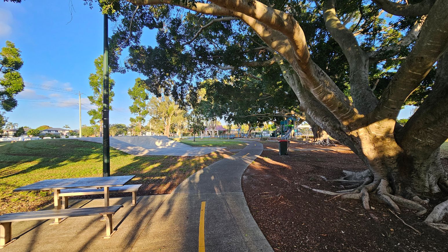 A park scene with a large tree on the right, its thick branches and roots visible. A curved path runs through the centre, marked with a yellow line. On the left, there's a picnic table on a concrete slab, and a grassy area with a few trees. In the background, a playground is partially visible, along with a rubbish bin. The area is well-lit, suggesting daylight, and there are houses and a power line in the distance.