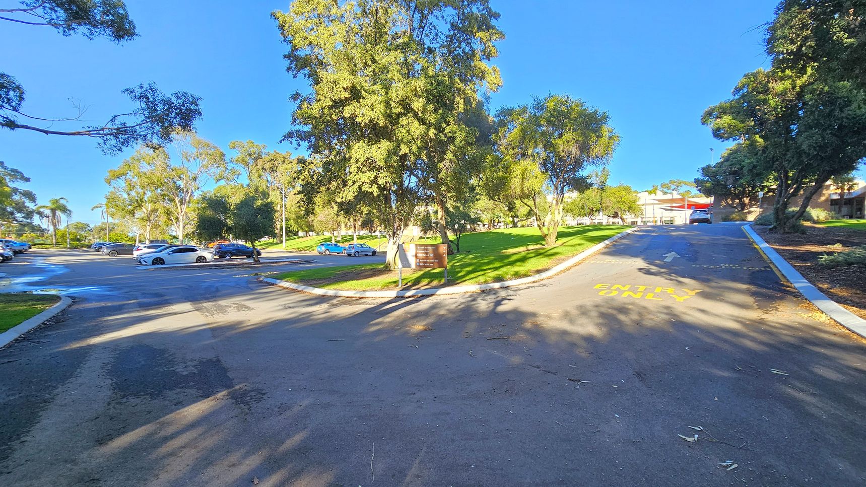 A paved road with "ENTRY ONLY" painted in yellow leads uphill on the right. On the left, a car park with several vehicles is visible, bordered by trees and patches of grass. In the centre, a sign is placed near a tree. The background features more trees and a building partially visible on the right. Shadows from the trees stretch across the road.