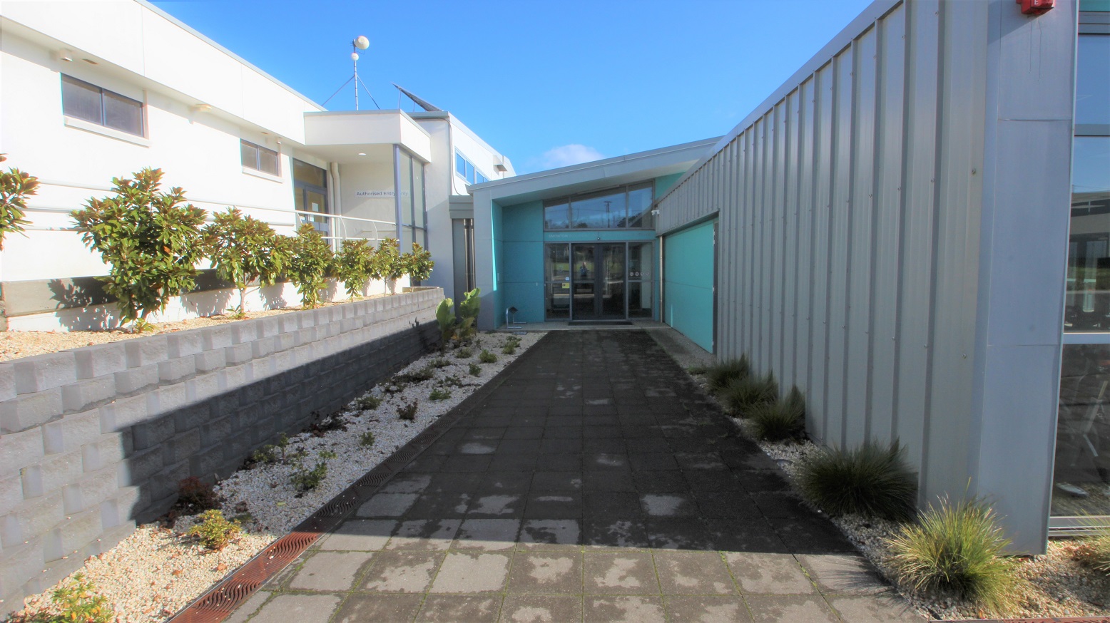 Grey tiled pathway leading to the entrance automatic, double glass doors of SWIRL. Found on both sides of this pathway is a long garden with fountain grasses. Next to the entrance ramp with white metal handrails is a breast-high, brick planter box with a type of shrub that has red colour edges on its leaves.