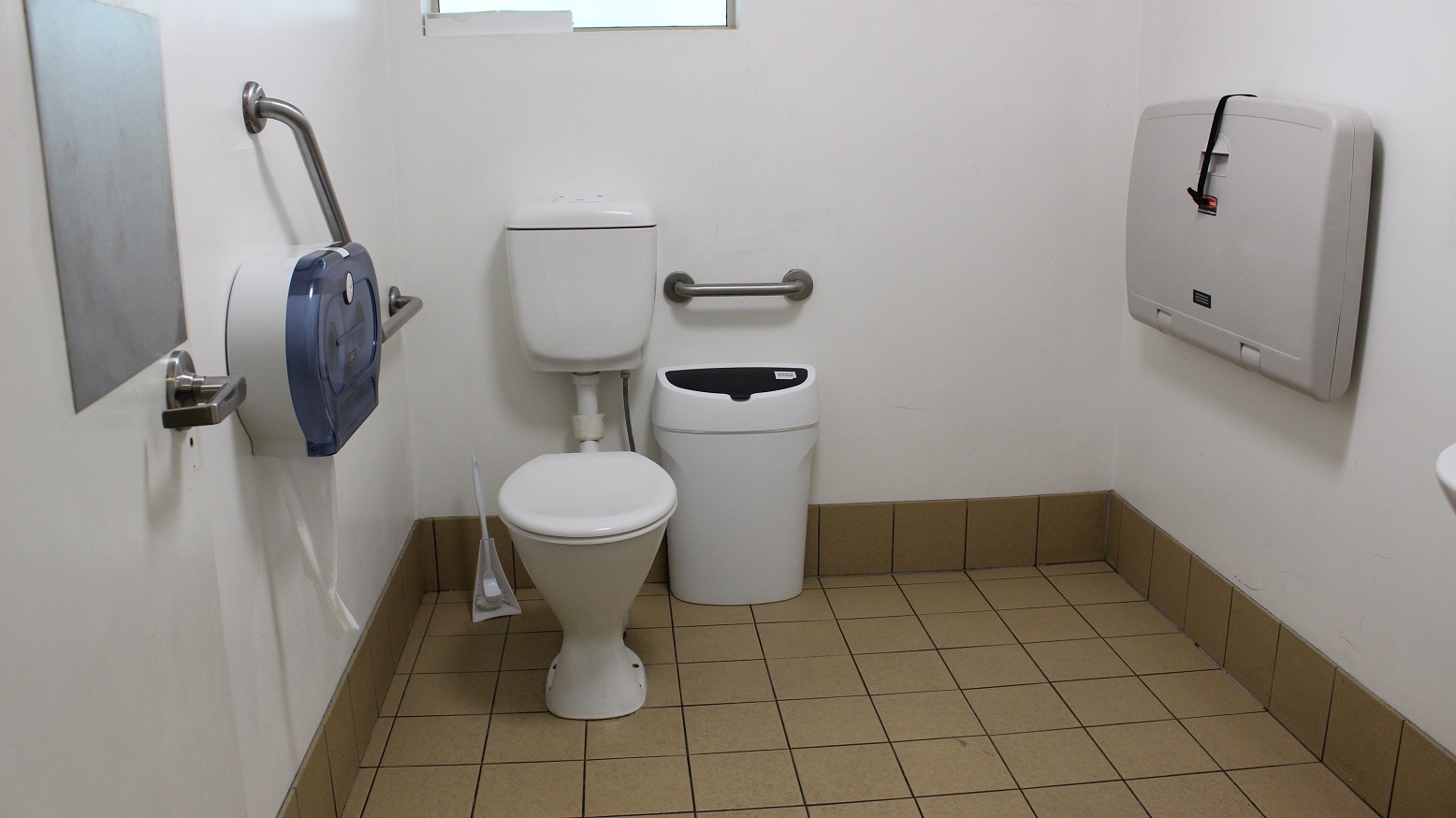 A view of a grey-tailed and white-walled bathroom with two grab rails on the left separated by an enclosed tissue closet. A rubbish bin and a grab rail are on the right of the toilet. On the left is an enclosed changing table .