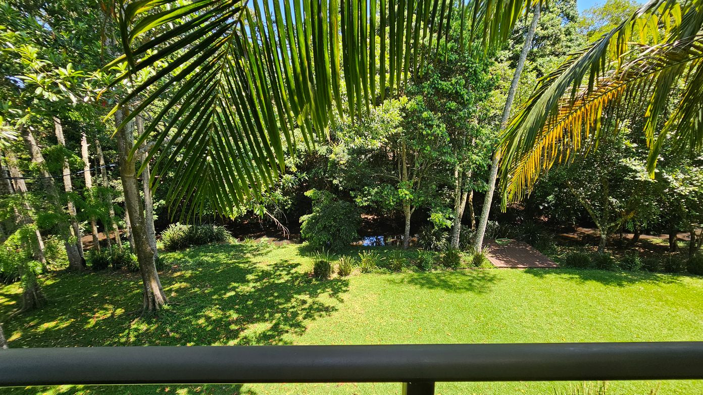 Large palm fronds hang in the foreground, partially shading a lush green lawn. In the background, a variety of trees with dense foliage create a natural border. A small body of water is visible through the trees, reflecting some light. The scene is vibrant and verdant, suggesting a tropical or subtropical environment.