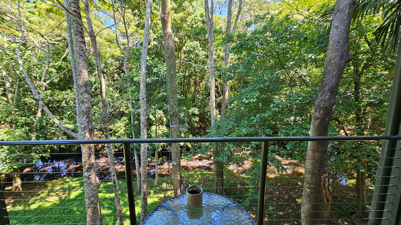 A view from a balcony overlooking a lush forest with tall trees and dense green foliage. In the foreground, a glass-topped table with a small potted plant sits on the balcony. The railing is made of metal with horizontal cables. Below, a small stream runs through the forest, partially visible through the trees. The scene is bright with sunlight filtering through the leaves.