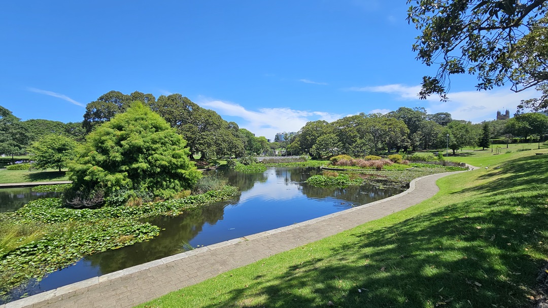 On the left, Lake Northam displays water lilies, wild grass, and trees emerging from the water. To the right, there's a hill covered in green grass. In between, a concrete brick path runs. The entire area is surrounded by trees.
