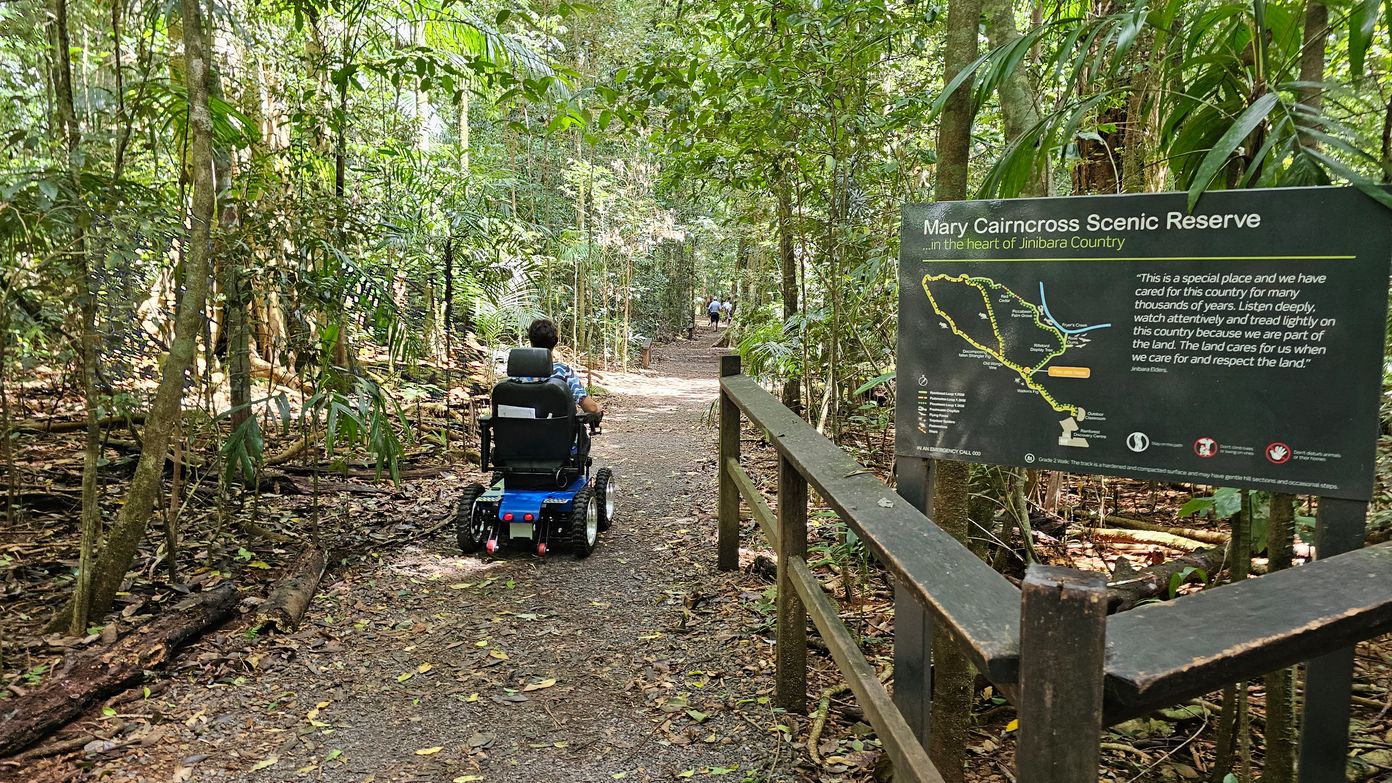 A person in a motorised wheelchair is on a forest path surrounded by dense greenery. On the right, a wooden railing leads to a sign for Mary Cairncross Scenic Reserve, featuring a map and text about the area. The path is earthy and covered with leaves, extending into the distance where more people are visible. Tall trees and lush foliage create a canopy overhead.