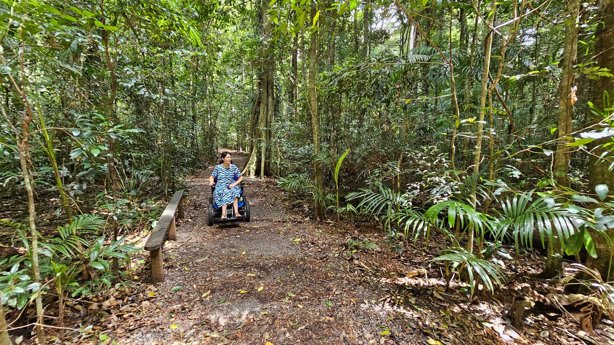 A person in a blue patterned dress is using a motorised wheelchair on a dirt path through a dense forest. The path is surrounded by tall trees and lush green foliage. On the left, there is a wooden railing running alongside the path. The ground is covered with dry leaves and the forest is thick with various plants and trees.