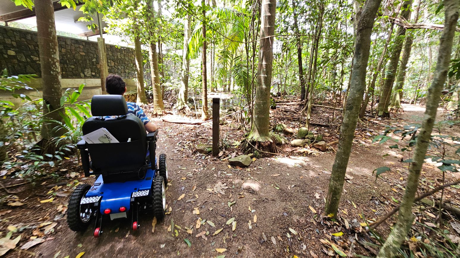 A person in a blue electric wheelchair is navigating a dirt path through a forest. The path is surrounded by tall trees and dense foliage. On the left, there is a stone wall partially visible through the trees. The ground is covered with dry leaves and small rocks. The scene is well-lit, indicating daylight filtering through the canopy.